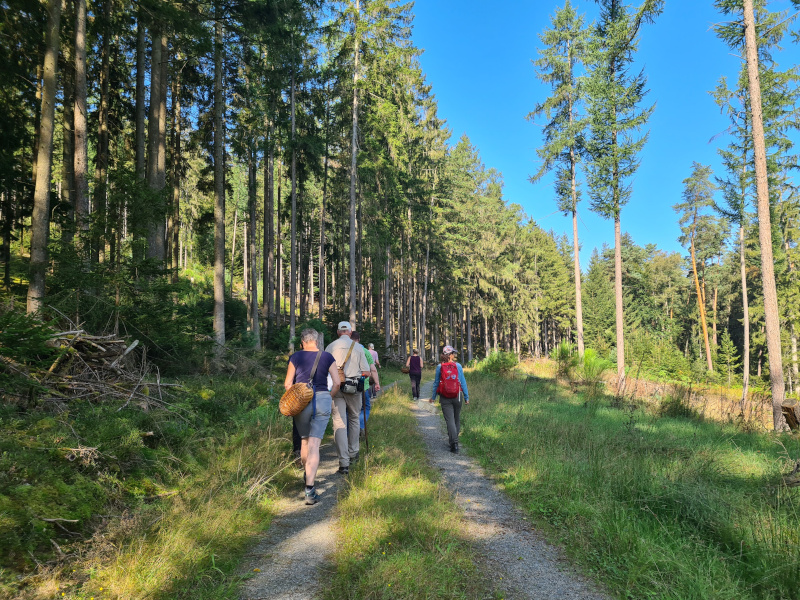 Aufbruch zur Pilzpirsch